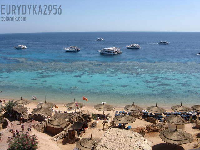 Egipt - Eurydyka2956