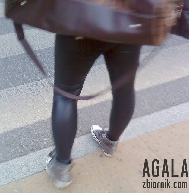 DSC03617L.jpg - AGALA