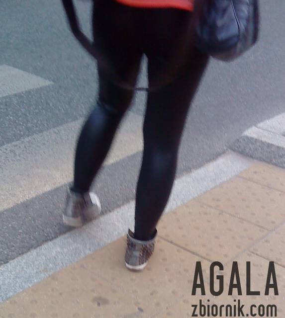 DSC03618L.jpg - AGALA