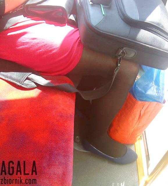 DSC03650cz.jpg - AGALA