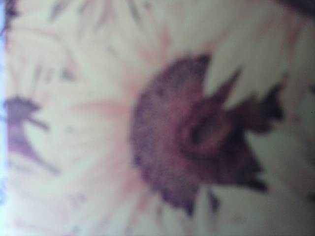 CAM00322.jpg - lawo11