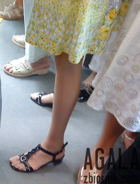 DSC03760kl.jpg - AGALA