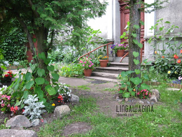 lingawagina