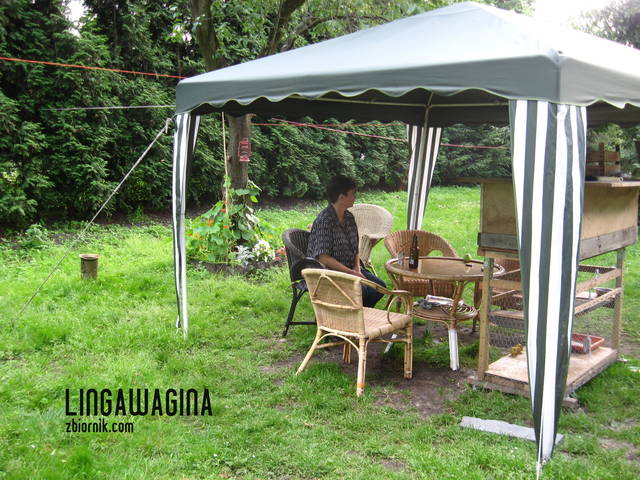 Ogród 17.07.13 013.jpg - lingawagina