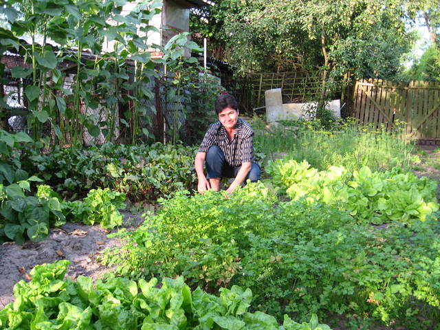 Ogród 17.07.13 023.jpg - lingawagina