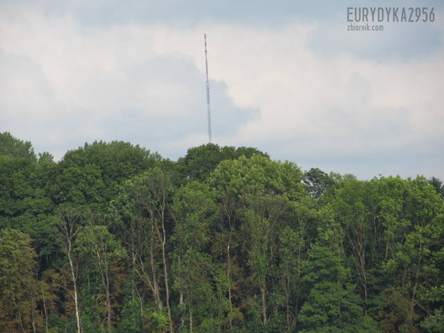 widoczek - Eurydyka2956