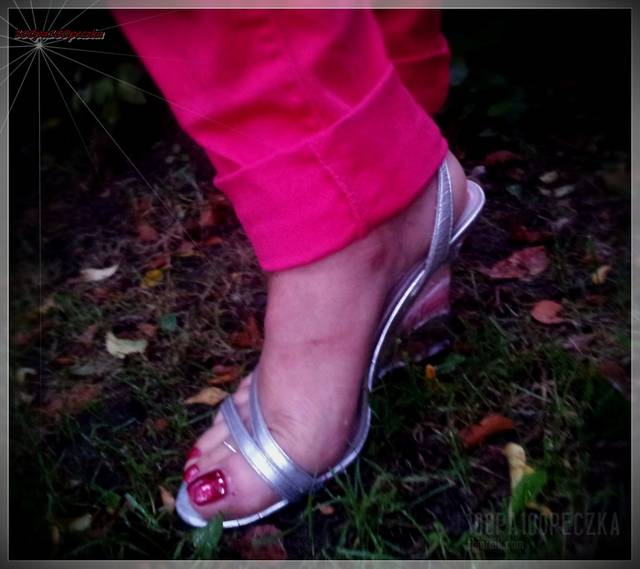 Srebrne #01 - 100pa100peczka