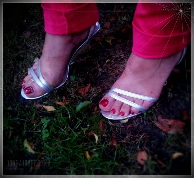 Srebrne #02 - 100pa100peczka