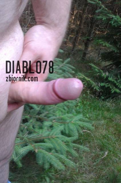 x - diablo78
