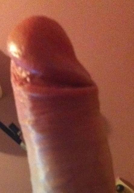 male co nieco - 84shark84