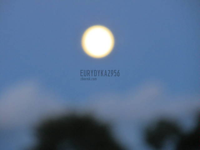Moj ksiezyc :) - Eurydyka2956