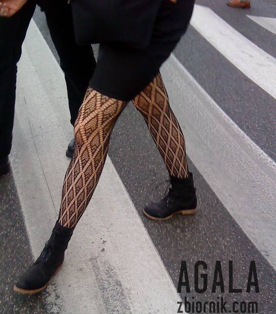 DSC03853odj.jpg - AGALA