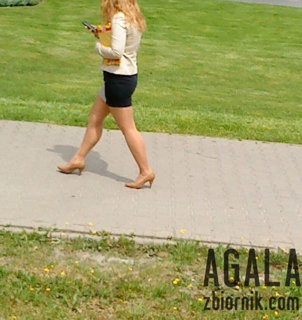 DSC03837kl.jpg - AGALA