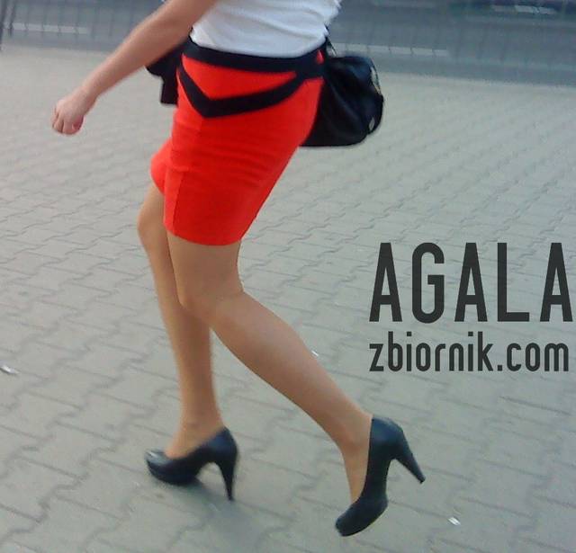 DSC03892kl.jpg - AGALA