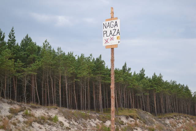 DSC_0048.JPG - debki2012