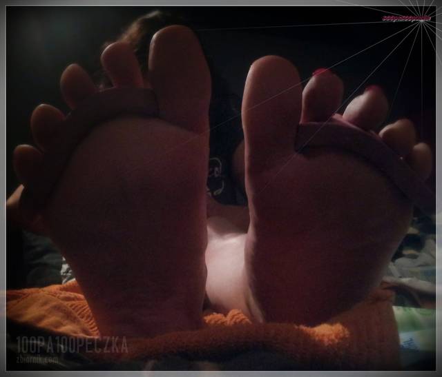 Spodziki 73 - 100pa100peczka