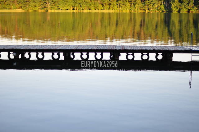 DSC_3937.JPG - Eurydyka2956