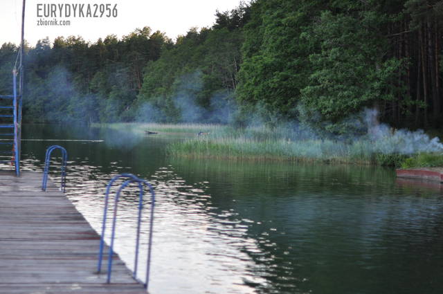 dymek - Eurydyka2956