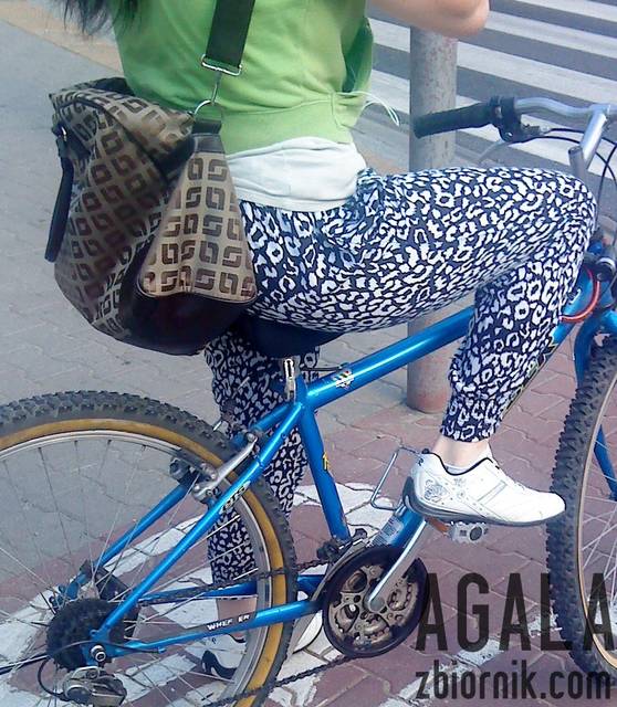 DSC03974L.jpg - AGALA