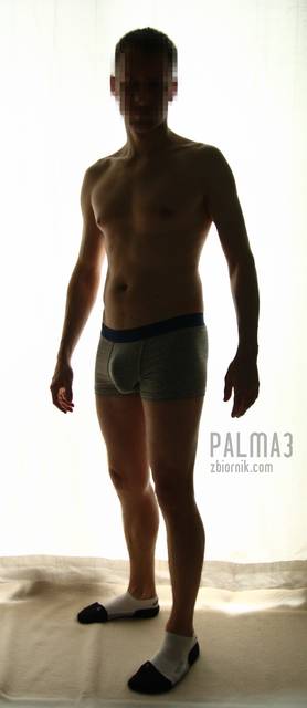 IMG_4187.JPG - palma3