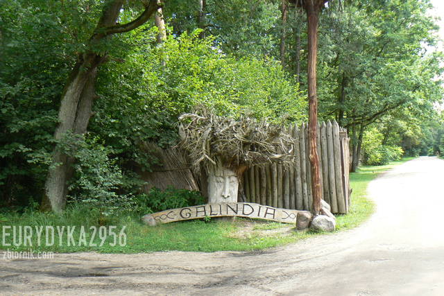 w drodze na Bełdany - Eurydyka2956