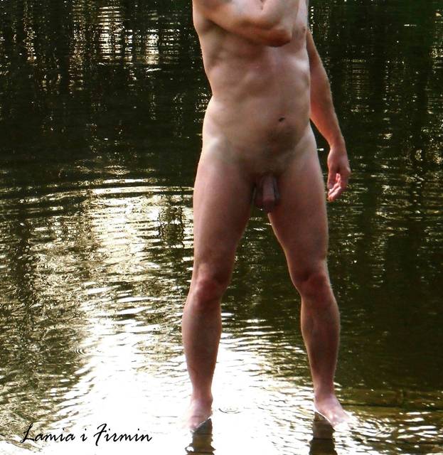 Wodnik-Szuwarek - LamiaiFirmin