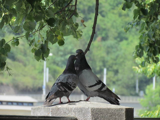 IMG_4300.JPG - wodnik50