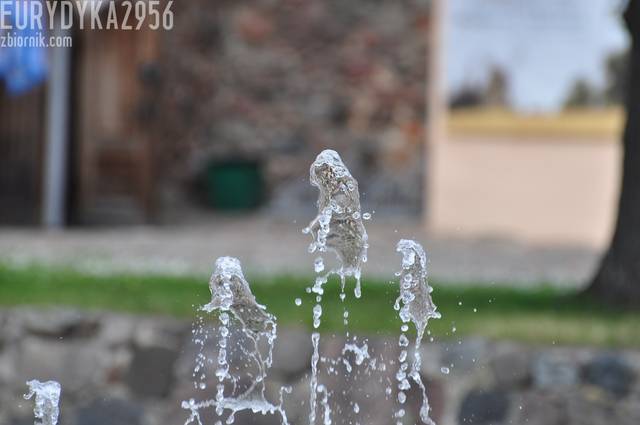 DSC_3601.JPG - Eurydyka2956