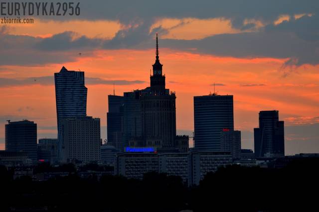 2 (1).JPG - Eurydyka2956