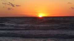 DSC_0635.JPG