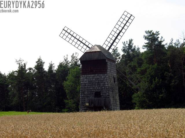 Wiatrak 2 - Eurydyka2956