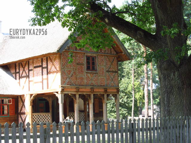 cd :) - Eurydyka2956