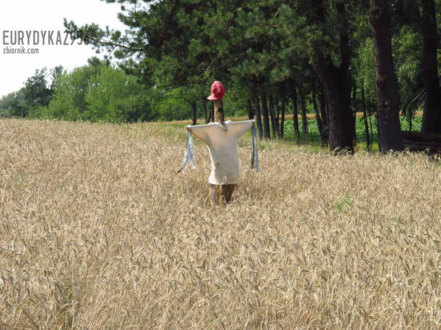 moj nowy Men :) - Eurydyka2956