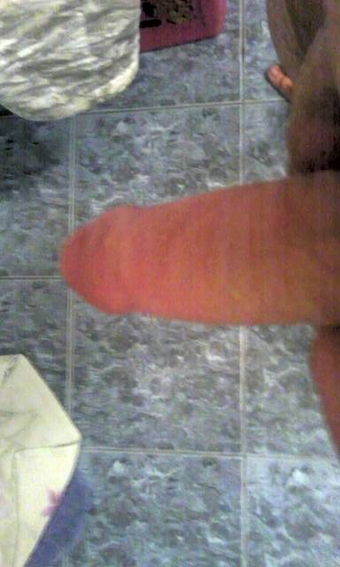 Kutasek 2.jpg - kaczor22