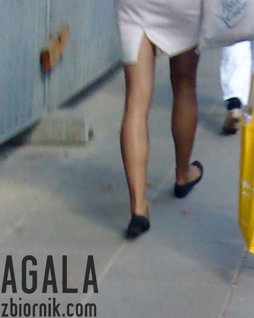 DSC04086cz.jpg - AGALA