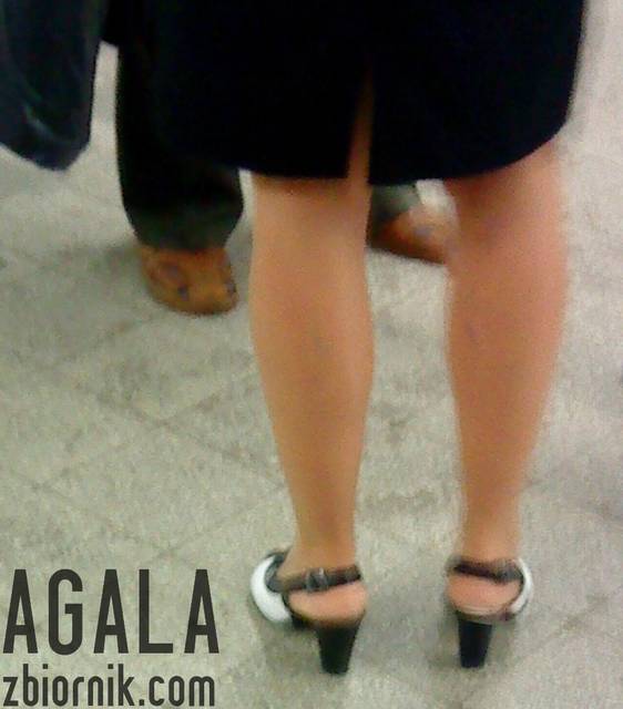 DSC04089kl.jpg - AGALA