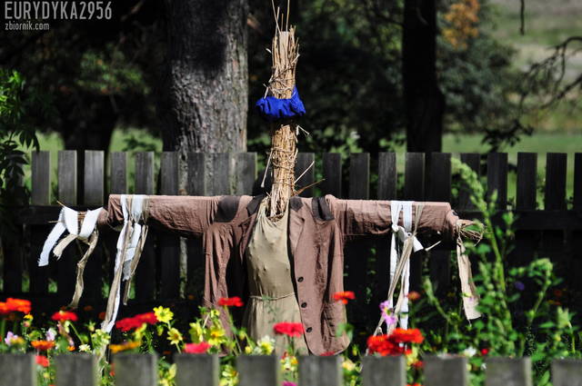 Przystojniacha :) - Eurydyka2956