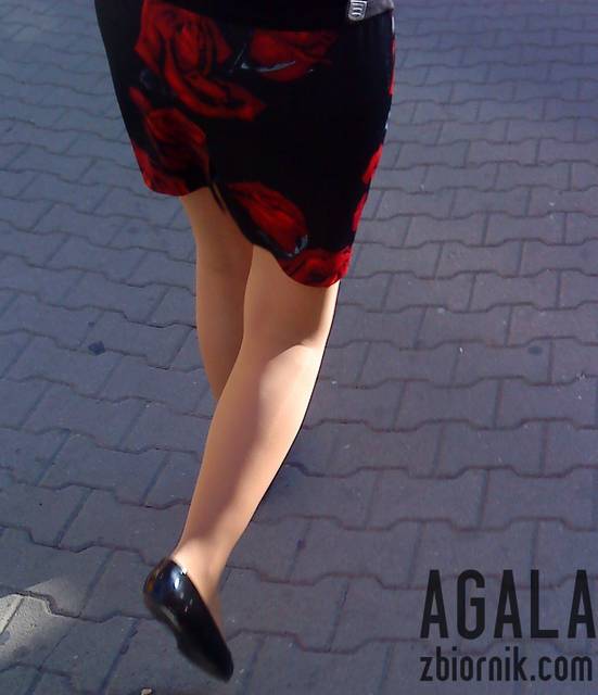 DSC04105kl.jpg - AGALA