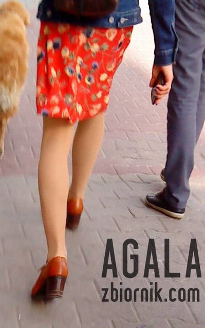 DSC04170kl.jpg - AGALA