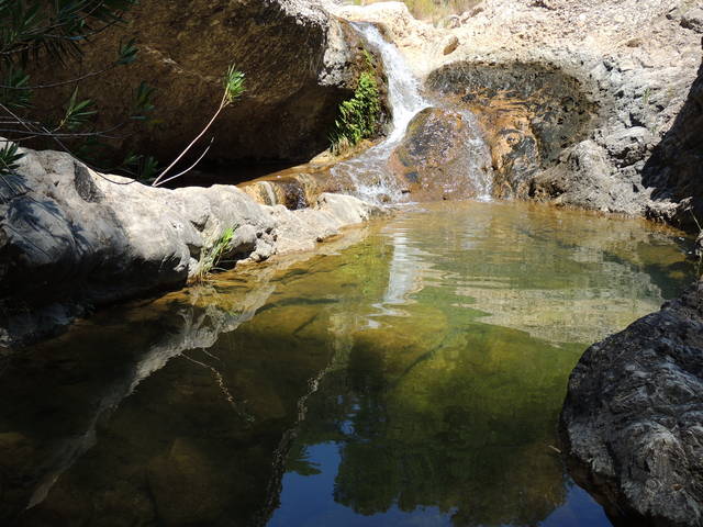 Fajne ??? - Nienasyceniec