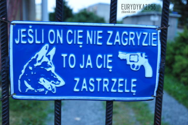 Dobre - Eurydyka2956