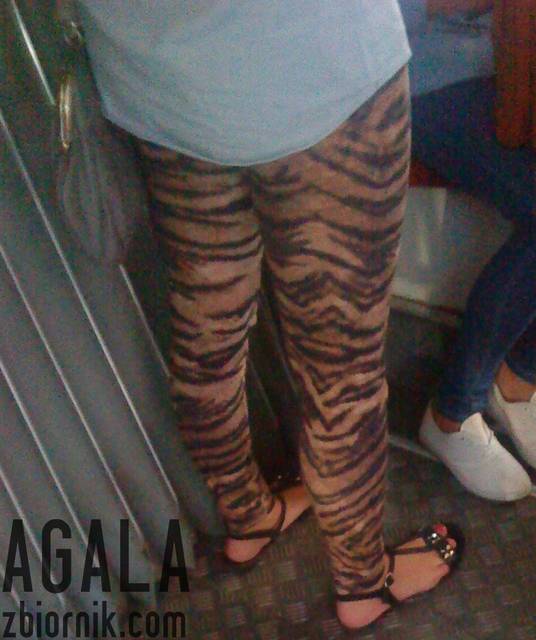 DSC04328L.jpg - AGALA