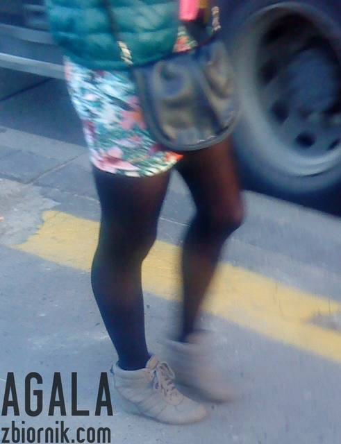 DSC04322cz.jpg - AGALA