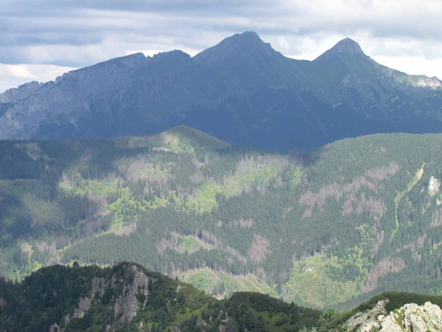 IMG_8501.JPG - wodnik50