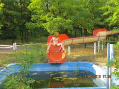 Zjade prosto na Twego Kutaska