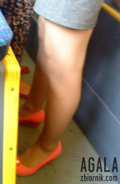 DSC04354v.jpg - AGALA