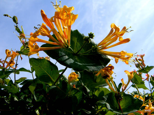 niedługo koniec lata - sekretek