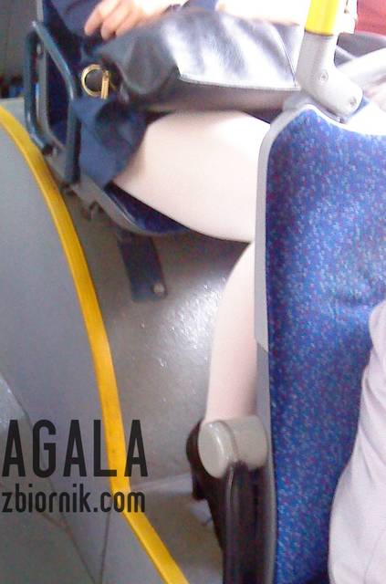 DSC04423kol.jpg - AGALA