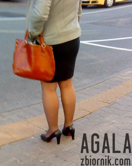 DSC04469v.jpg - AGALA