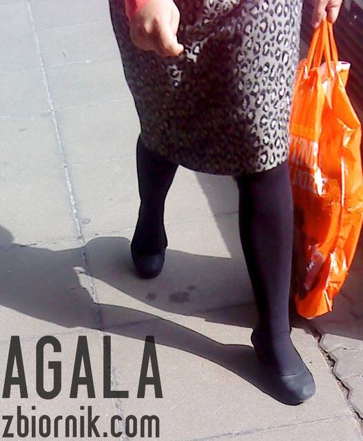 DSC04533cz.jpg - AGALA